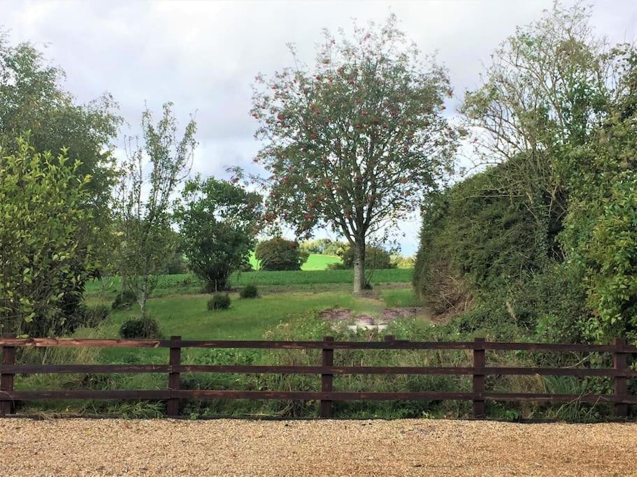 Contemporary Cottage Outside South Harting Exterior photo